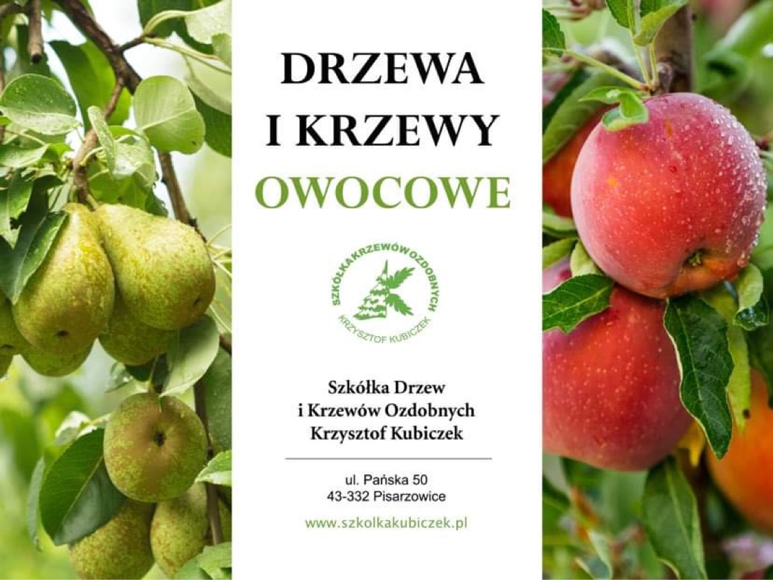 Drzewa I Krzewy Owocowe Już W Sprzedaży! - Kubiczek